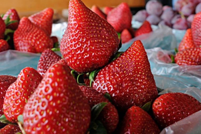Fresh strawberries for sale on Route 70 in Southampton.  Tom Gralish / Staff Photographer