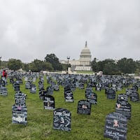 Friends and family who lost loved ones to the overdose crisis placed hundreds of cardboard memorial markers near the U.S. Capitol during a Trail of Truth event on Sept. 23, 2023, calling on lawmakers to take more action to address addiction policies. (Aneri Pattani/KFF Health News)