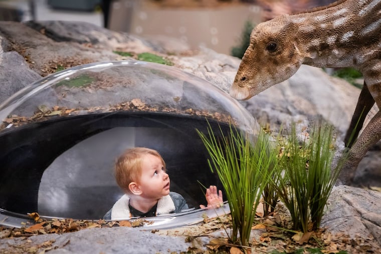 A child explores the exhibits at the Edelman Fossil Park & Museum in Mantua Township, N.J., in 2024. The park is just a 20-minute drive from Philadelphia.